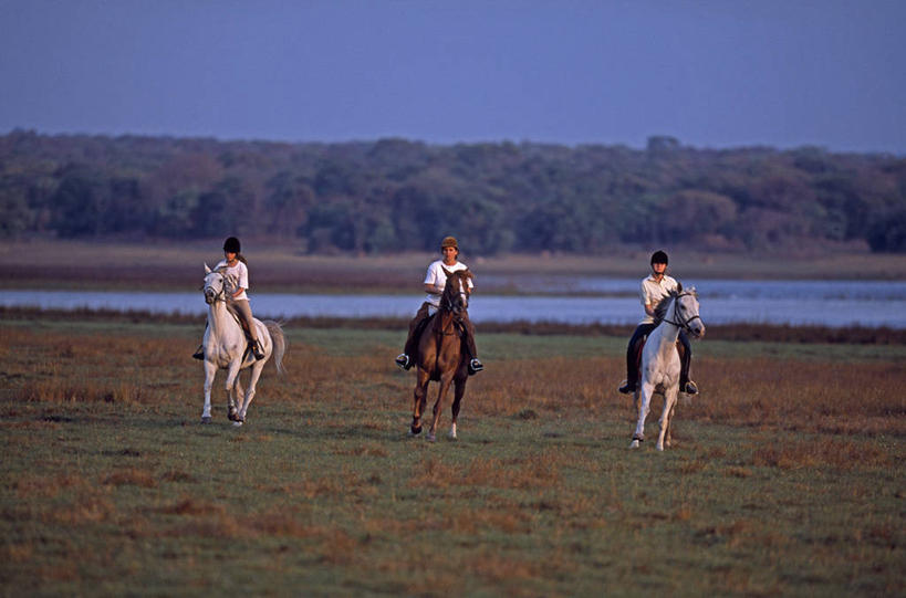 儿童,成年人,一个人,跑,横图,室外,锻炼,旅游,度假,探险,湖,河流,水,马,非洲,赞比亚,骑马,地形,田地,娱乐,骑,享受,休闲,放松,摄影,生活方式,小马,探险家,黑客,女孩,女人,彩图