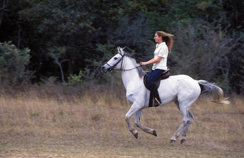 儿童,成年人,一个人,跑,横图,室外,锻炼,旅游,度假,探险,湖,河流,水,马,非洲,赞比亚,骑马,地形,田地,娱乐,骑,享受,休闲,放松,摄影,生活方式,小马,探险家,黑客,女孩,女人,彩图