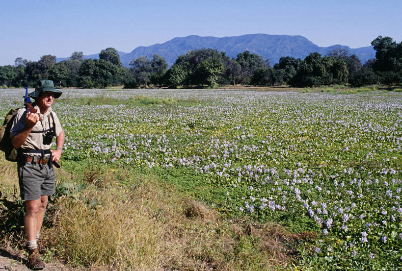 成年人,一个人,导游,竖图,室外,非洲,津巴布韦,仅一个男性,枪支,自然,武器,摄影,肖像,来福枪,男人,彩图