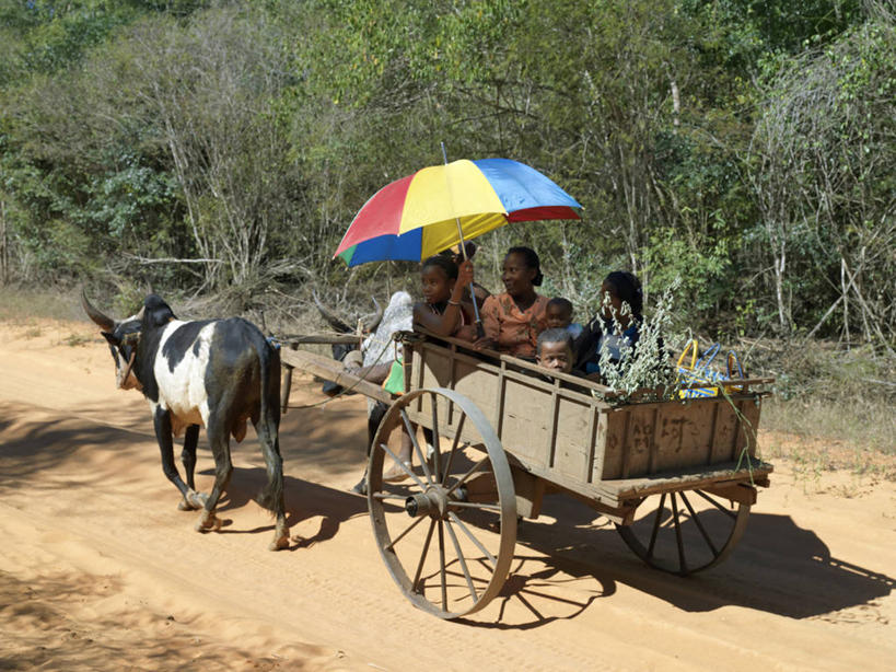 成年人,坐,横图,消费,叶子,非洲,马达加斯加,市场,社区,摄影,购买,干的,贩卖,贸易,图利亚拉,男人,女人,商人,烟草,彩图