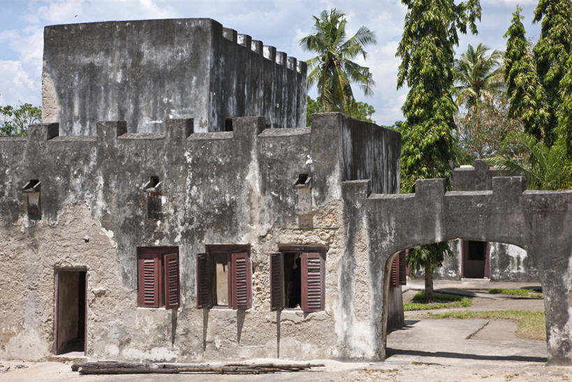 成年人,一个人,笑,竖图,快乐,非洲,坦桑尼亚,仅一个女性,正门,门口,摄影,东非,女人,彩图,达累斯萨拉姆