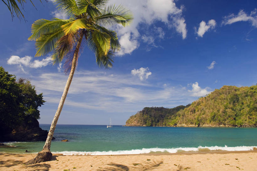 无人,码头,横图,室外,白天,海洋,水,港口,棕榈树,日光,加勒比海,特立尼达和多巴哥,沙子,地形,海岸线,海湾,树,蓝色,天空,自然,夏天,大西洋,摄影,宁静,热带气候,西印度群岛,多巴哥岛,海滩,彩图,摆渡口,埠头,渡口,渡头,港湾,海港,货运码头,口岸,商港