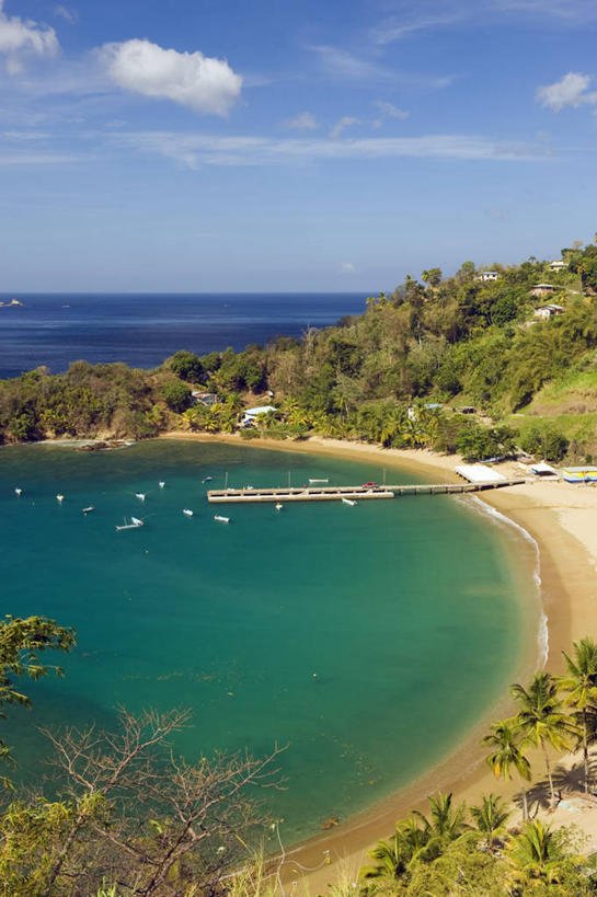 无人,码头,竖图,室外,白天,海洋,水,港口,日光,加勒比海,特立尼达和多巴哥,沙子,地形,海岸线,蓝色,绿色,天空,自然,夏天,大西洋,摄影,宁静,热带气候,西印度群岛,多巴哥岛,海滩,彩图,摆渡口,埠头,渡口,渡头,港湾,海港,货运码头,口岸,商港