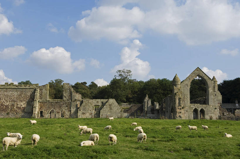 无人,横图,旅游,建筑,英国,欧洲,废弃,房屋,历史,英格兰,废墟,摄影,宗教,报废,废物,基督教,西欧,修道院,丢弃,大不列颠,放弃,抛弃,大不列颠及北爱尔兰联合王国,大不列颠及爱尔兰联合王国,西米德兰兹郡,英吉利,摈弃,修院,西米德兰兹,什罗普郡,僧侣,彩图,旅行,屏弃,大不列颠王国,大英帝国,联合王国,日不落帝国,摈斥,摒除,传统文化,什鲁斯伯里,舒茲伯利,奥古斯丁火山