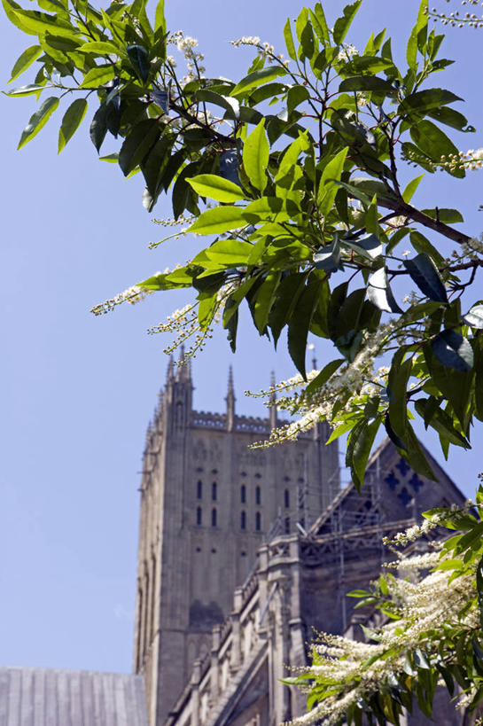 无人,酒吧,竖图,旅游,旅途,西班牙,欧洲,行人,游客,游人,写,食品,路人,旅客,菜单,黑板,摄影,生活方式,瘦身,拜访,安达路西亚,马拉加省,过客,休闲活动,彩图,旅行,餐馆