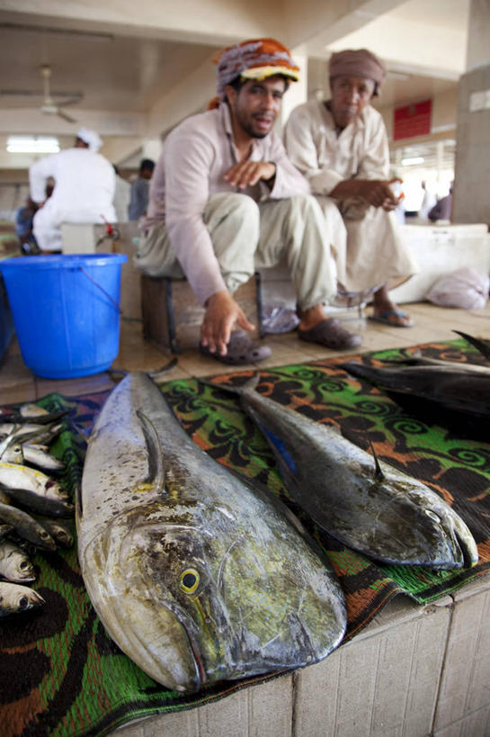 竖图,阿曼,小贩,市场,首都,鱼类,摄影,中东,波斯湾,大马斯喀特,商人,彩图,阿拉伯半岛