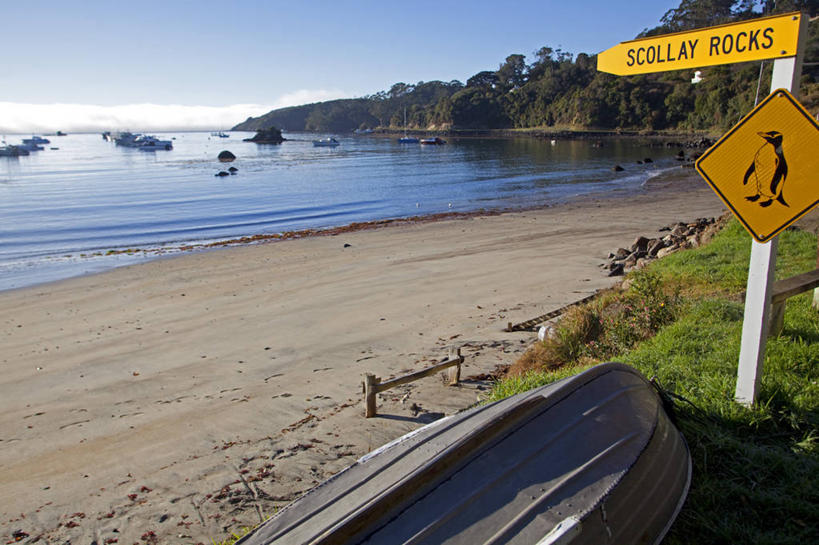 无人,横图,室外,海洋,船,新西兰,放松,摄影,宁静,新西兰南岛,方向标,斯图尔特岛,海滩,彩图