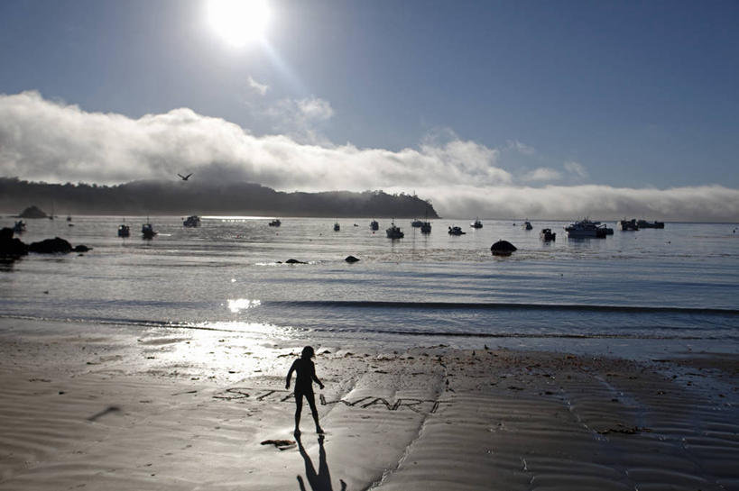 一个人,横图,室外,旅游,海洋,新西兰,行人,游客,游人,写,沙子,路人,旅客,摄影,新西兰南岛,过客,斯图尔特岛,海滩,彩图,旅行