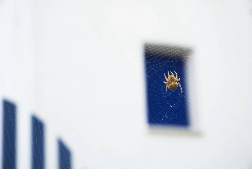 无人,教堂,横图,火山,希腊,欧洲,蜘蛛,蜘蛛网,岛,蓝色,白色,风景,摄影,宗教,基克拉迪群岛,圣托里尼岛,地中海文化,希腊文化,希腊共和国,基克拉泽斯群岛,活火山,彩图