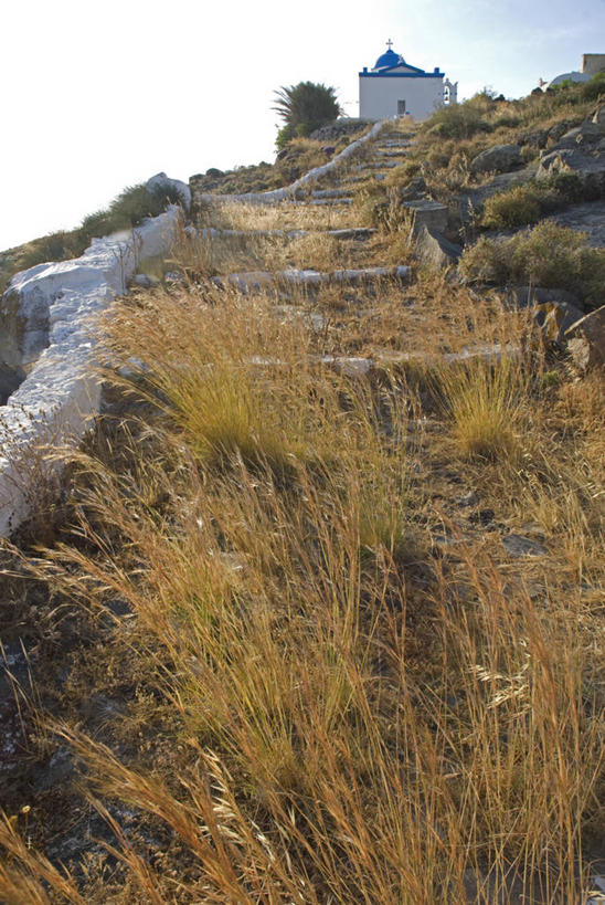 无人,教堂,竖图,火山,山,植物,希腊,欧洲,十字架,岛,蓝色,白色,风景,蓟,摄影,宗教,基克拉迪群岛,圣托里尼岛,地中海文化,希腊文化,希腊共和国,基克拉泽斯群岛,活火山,彩图