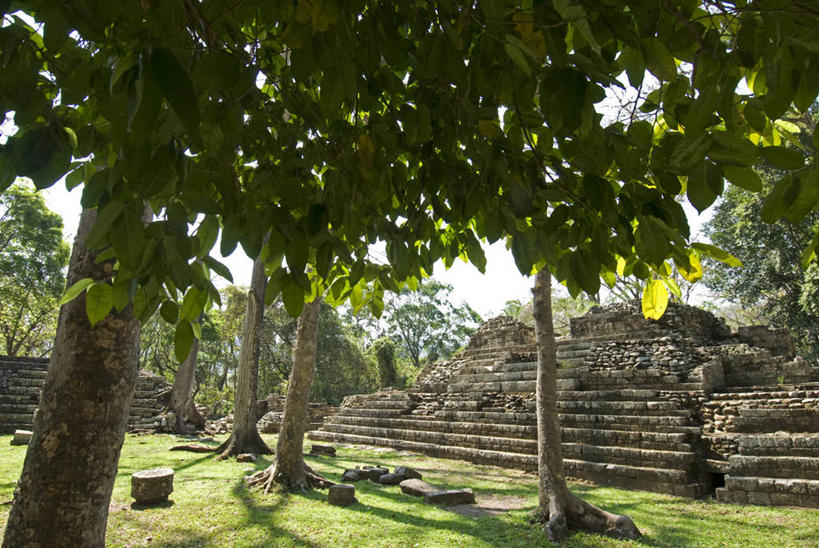 无人,广场,宫殿,横图,旅游,建筑,雕塑,墨西哥,洪都拉斯,艺术,装饰,雕像,历史,废墟,树,地标建筑,金字塔,摄影,考古学,创造力,北美,北美洲,中美洲,美洲,手艺,玛雅文明,北亚美利加洲,亚美利加洲,洪都拉斯共和国,古代文明,美术工艺,科潘,科潘玛雅遗址,科潘遗址,彩图,旅行