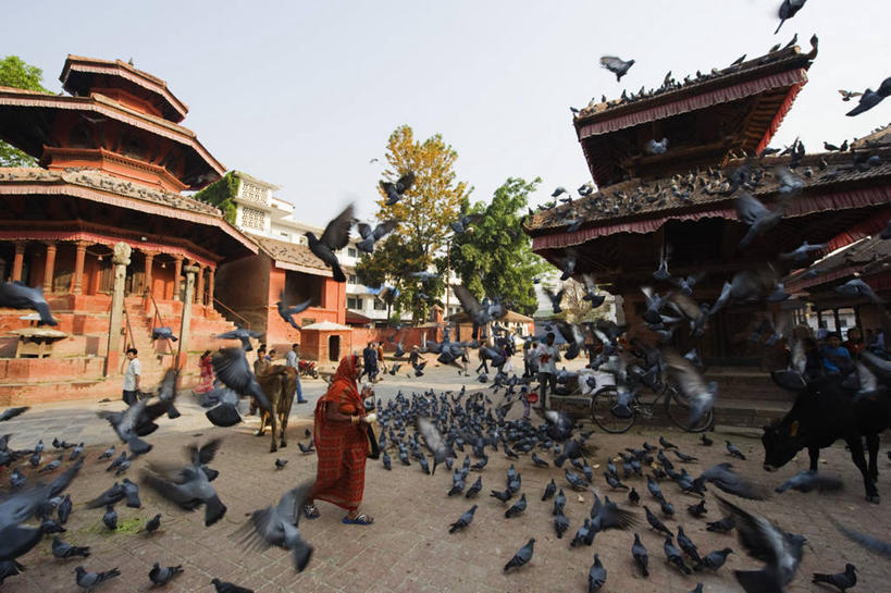 成年人,胡须,头发,一个人,竖图,彩色,室外,神秘,尼泊尔,亚洲,仅一个男性,长袍,珠子,首都,衣服,黄色,地标建筑,橙色,人体,瑜珈,摄影,宗教,五颜六色,宁静,色彩斑斓,作画,五彩缤纷,加德满都,朝圣节,印度教,五彩斑斓,灵性,五光十色,苦行僧,男人,胡子,络腮胡,彩图,传统文化,联合国教科文组织