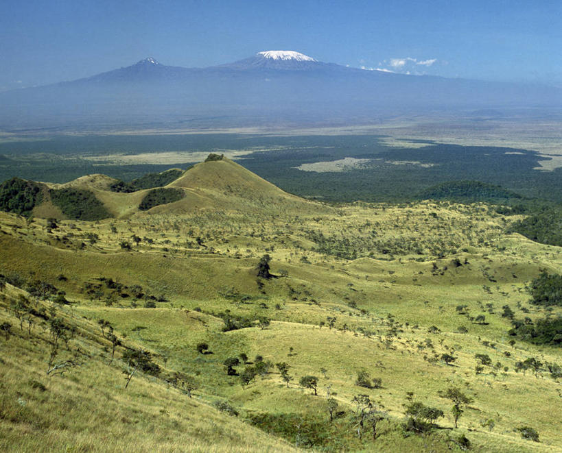 无人,竖图,室外,旅游,度假,日光浴,海洋,非洲,肯尼亚,行人,游客,游人,沙子,路人,旅客,树,蓝色,天空,放松,摄影,印度洋,过客,蒙巴萨岛,海滩,椰子树,彩图,旅行