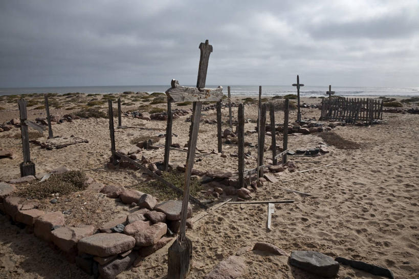 西方人,无人,竖图,哺乳动物,海豹,野生动物,欧洲,非洲,纳米比亚,黑人,欧洲人,动物,可爱,摄影,活泼,海狗,腽肭兽,海熊,非洲人,彩图