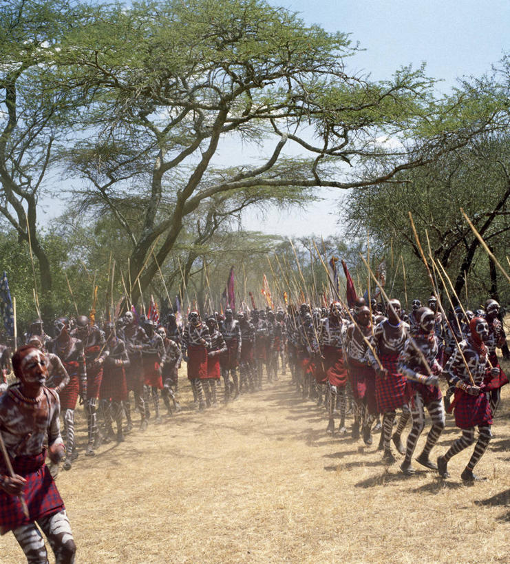 无人,横图,室外,友谊,野生动物,非洲,肯尼亚,动物,摄影,泥,国家公园,孤儿,象,彩图,动物行为