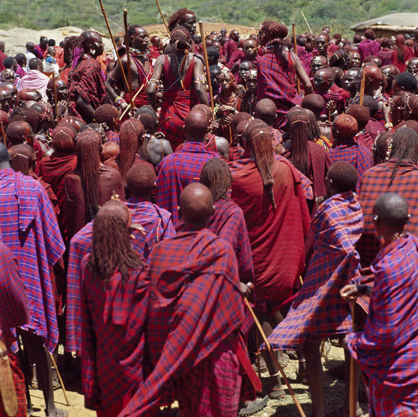 无人,横图,室外,友谊,野生动物,非洲,肯尼亚,动物,摄影,泥,国家公园,孤儿,象,彩图,动物行为