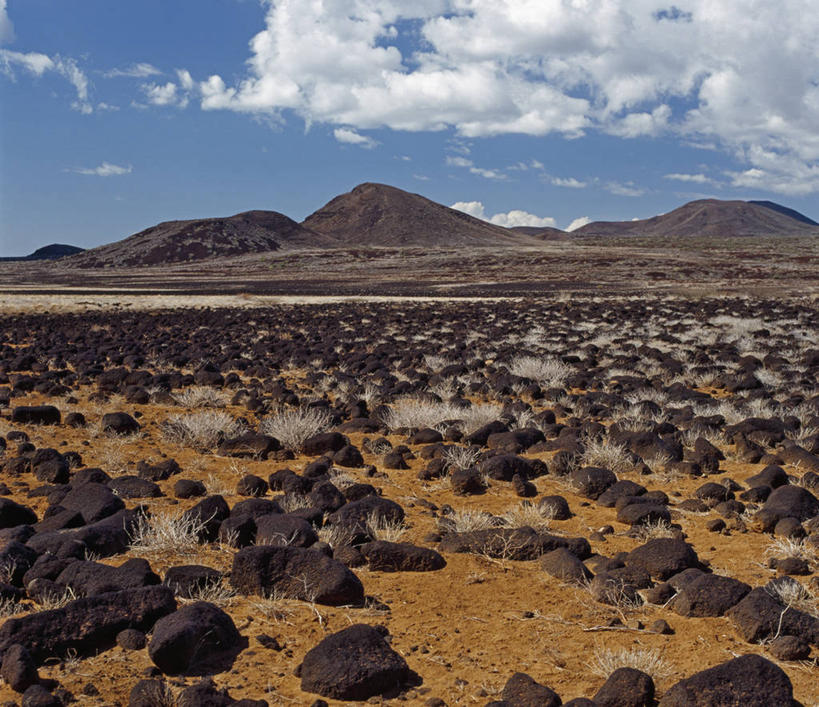 渔夫,竖图,室外,日出,非洲,肯尼亚,篮子,黎明,摄影,活动,柳条,彩图,钓鱼,传统文化