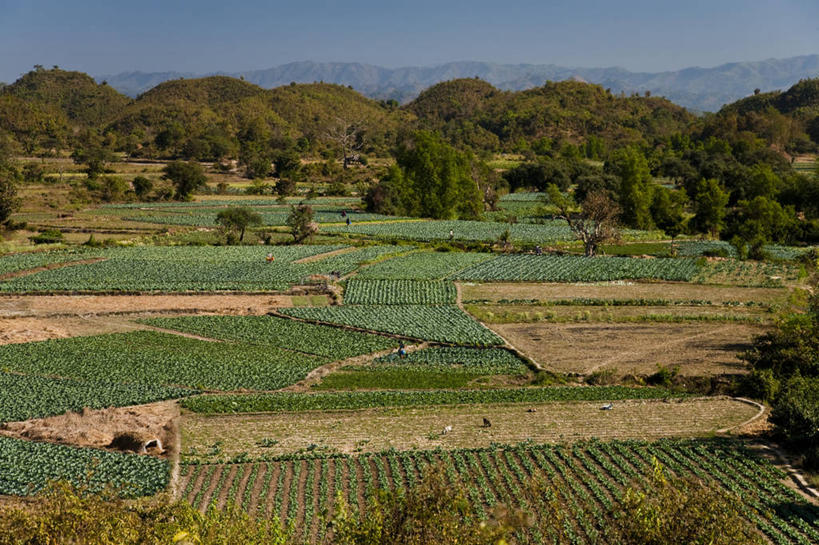 无人,寺庙,横图,缅甸,亚洲,锥子,历史,佛,宝塔,佛塔,摄影,宗教,东南亚,佛教,神殿,彩图