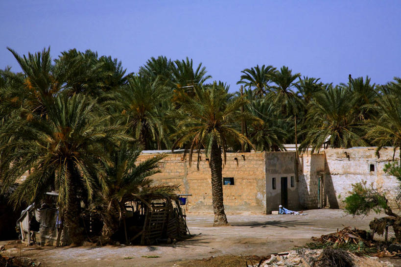 无人,画家,博物馆,横图,植物,墨西哥,艺术,房屋,首都,树,蓝色,艺术家,摄影,拉丁美洲,墨西哥城,美术工艺,彩图,名声