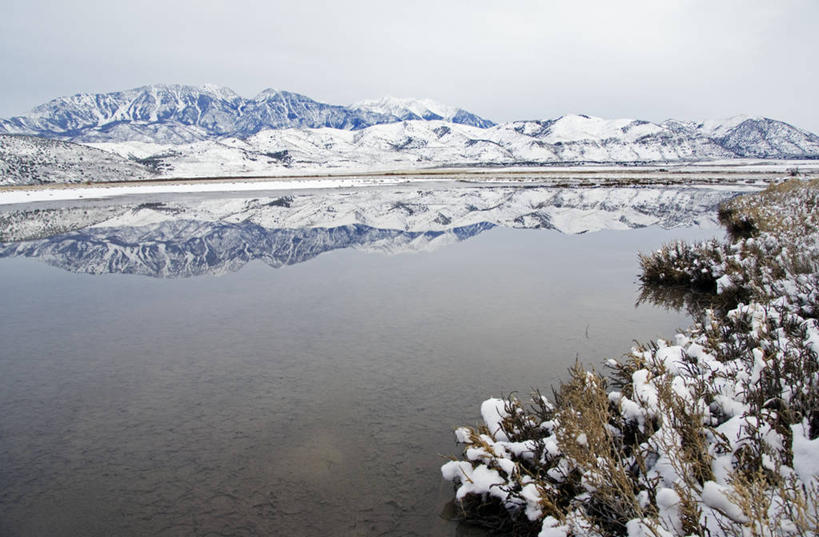 无人,公园,横图,室外,美国,化石,骨头,历史,自然,摄影,恐龙,考古学,北美,北美洲,国家公园,美洲,科罗拉多州,科罗拉多,北亚美利加洲,亚美利加洲,犹他,百年州,保护区,侏罗纪,国家恐龙化石保护区,恐龙国家保护区,恐龙国家公园,恐龙国家纪念公园,地质学,彩图,美利坚合众国