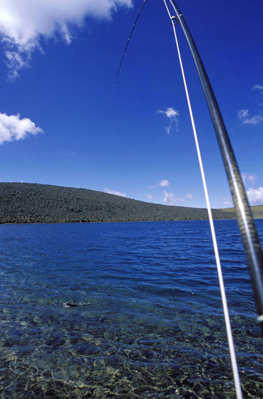 无人,竖图,室外,旅游,运动,非洲,肯尼亚,摄影,肯尼亚山,钓竿,彩图,钓鱼,旅行