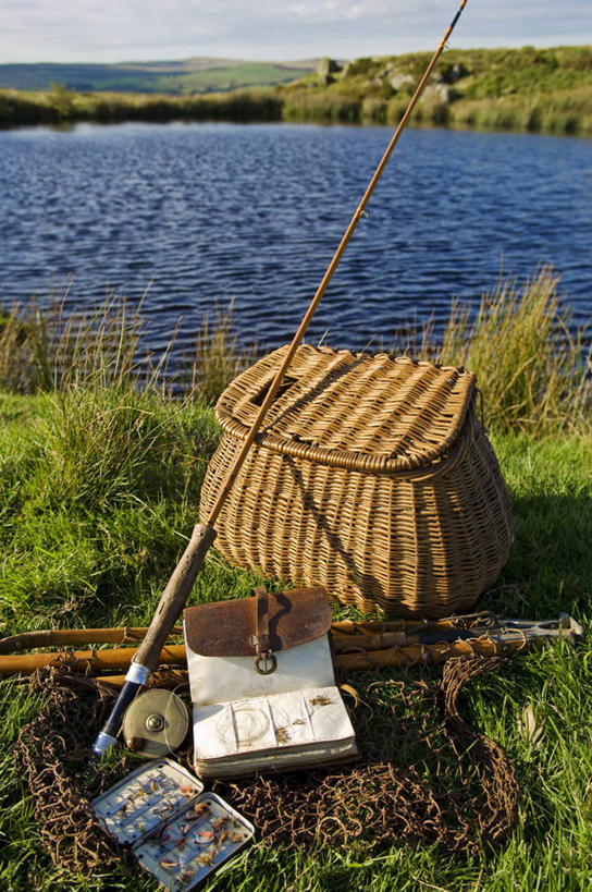 无人,果园,横图,室外,旅游,度假,苹果,水果,英国,园艺,摄影,威尔士,苹果树,彩图,旅行,波威斯城堡