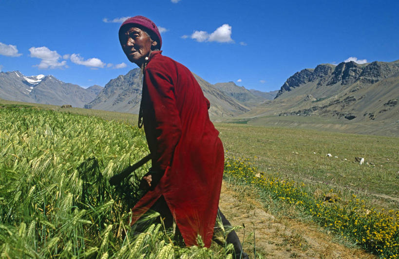 成年人,一个人,竖图,室外,帽子,印度,亚洲,仅一个男性,纺织,摄影,羊毛,喜马拉雅山脉,喜马偕尔邦,男人,彩图