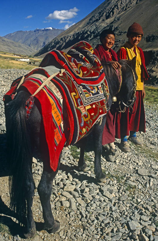 成年人,竖图,室外,马,印度,亚洲,小路,摄影,宗教,佛教,南亚,小马,喜马拉雅山脉,印度共和国,克什米尔,查谟.克什米尔,查谟.克什米尔邦,女人,修女,彩图,喀什米尔,克什米尔地区