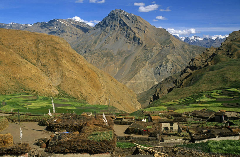 无人,横图,室外,农业,印度,亚洲,田地,乡村,谷类,摄影,大麦,喜马拉雅山脉,喜马偕尔邦,稷,彩图