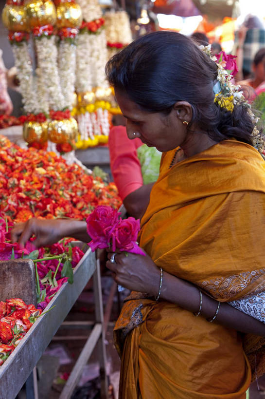 成年人,一个人,竖图,彩色,购物,印度,亚洲,仅一个女性,万寿菊,市场,货摊,花,摄影,五颜六色,色彩斑斓,挑选,五彩缤纷,印度文化,纱丽,卡纳塔克邦,五彩斑斓,五光十色,印度次大陆,迈索尔,女人,彩图