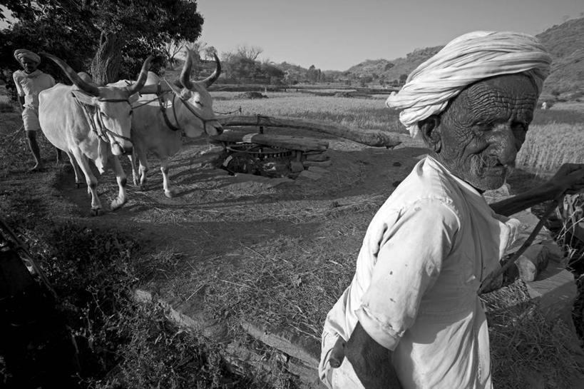儿童,成年人,家庭,横图,室外,美景,印度,景观,乡村,自然,社区,景色,摄影,井,水泵,自然风光,拉贾斯坦邦,乌代浦,女人,彩图,传统服装