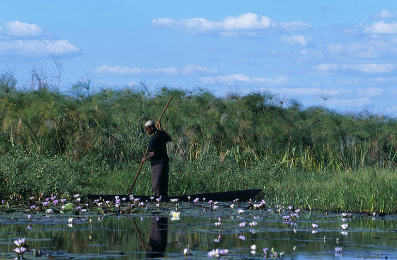 划船,一个人,渔夫,横图,室外,河流,水,船,非洲,赞比亚,杆,花,摄影,荡舟,彩图,钓鱼