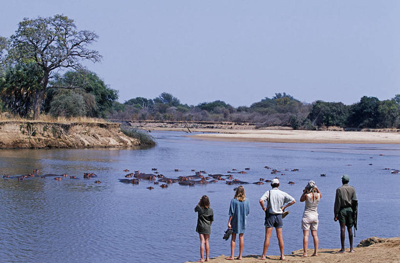 一个人,导游,竖图,室外,龟,非洲,赞比亚,摄影,来福枪,双筒望远镜,彩图
