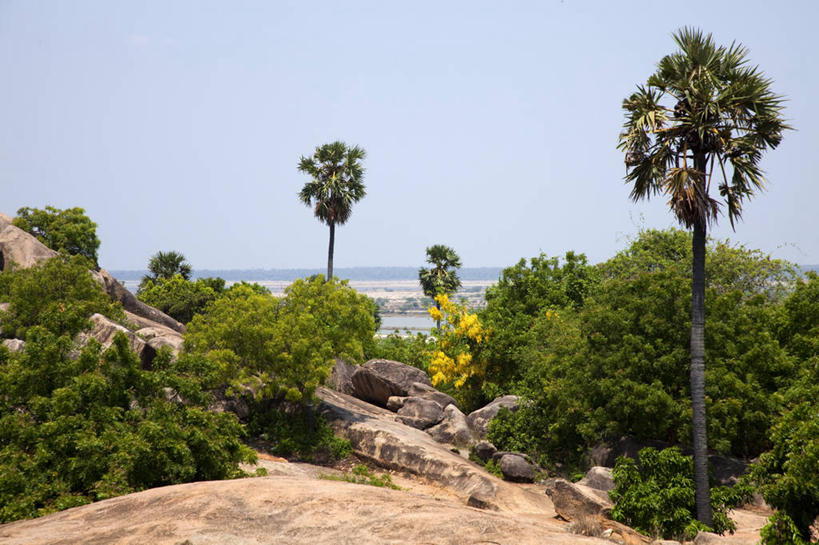 无人,横图,棕榈树,印度,亚洲,巨石,地标建筑,摄影,南亚,印度共和国,泰米尔纳德邦,泰米尔纳德,印度次大陆,马哈巴利普兰城,七寺城,岩石,彩图,联合国教科文组织