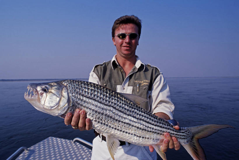 一个人,横图,室外,河流,非洲,赞比亚,摄影,淡水鱼,国家公园,赞比西河,彩图,钓鱼