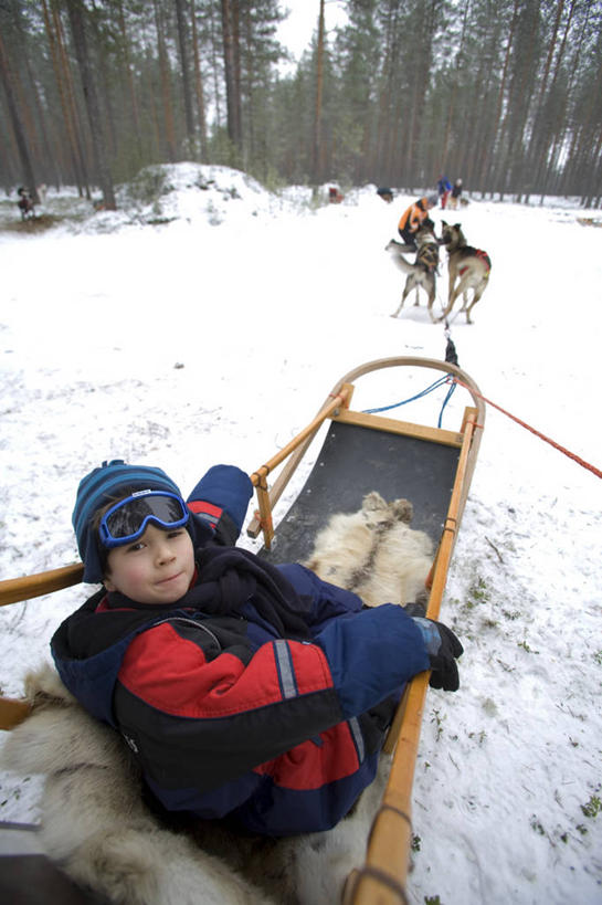 无人,横图,聚会,庆祝,花环,塑胶,花,天空,颜色,摄影,彩图