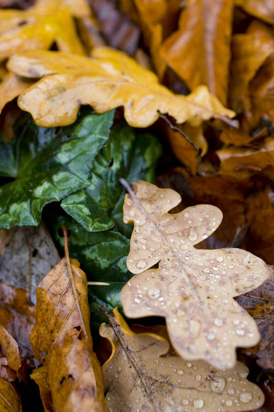 儿童,成年人,两个人,横图,旅游,城市,街道,英国,行人,游客,游人,艺术,首都,路人,旅客,摄影,生活方式,手艺,美术工艺,过客,诺丁山,女孩,女人,彩图,涂鸦