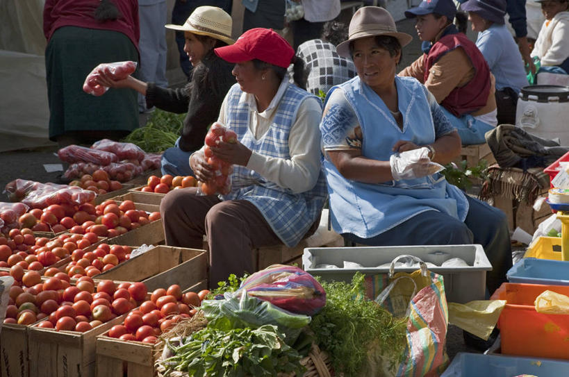 成年人,横图,购物,消费,蔬菜,西红柿,厄瓜多尔,食品,集市,市场,社区,南美,金融,摄影,拉丁美洲,清新,选购,贸易,女人,美国人,彩图,旅行