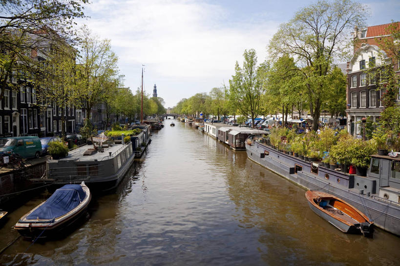 成年人,竖图,路,印度,亚洲,头巾,推车,运输,摄影,种族,男人,彩图,旅行,游牧民族