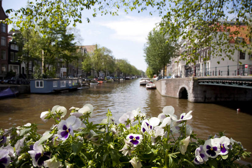 成年人,竖图,路,印度,亚洲,头巾,推车,运输,摄影,种族,男人,彩图,旅行,游牧民族