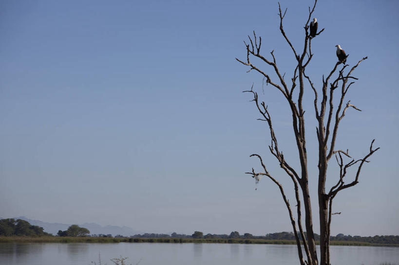 无人,横图,室外,旅游,湖,水,船,客轮,非洲,马拉维,运输,摄影,华贵,船长,马拉维湖,彩图,旅行,柚木树