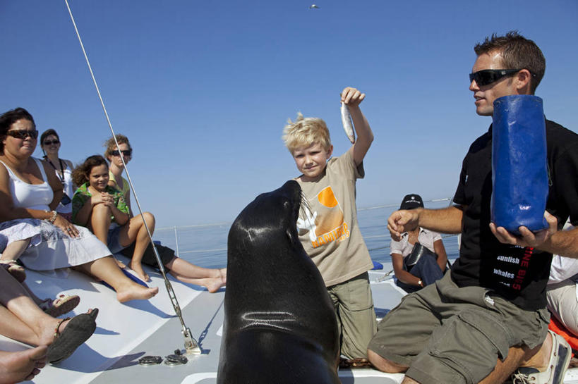 无人,竖图,阿曼,亚洲,市场,货摊,锅,纪念品,陶器,摄影,粘土,中东,波斯湾,奈兹瓦,广口瓶,彩图,旅行,传统文化