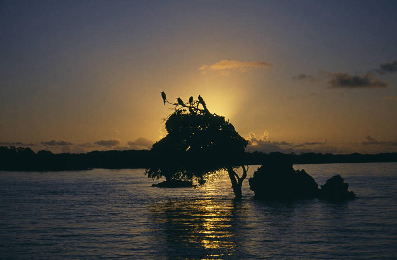 无人,横图,室外,海洋,水,塞舌尔,透明,珊瑚,岛,地标建筑,摄影,印度洋,珊瑚岛,潟湖,天堂镇,阿尔达布拉岛,海滩,群岛,彩图