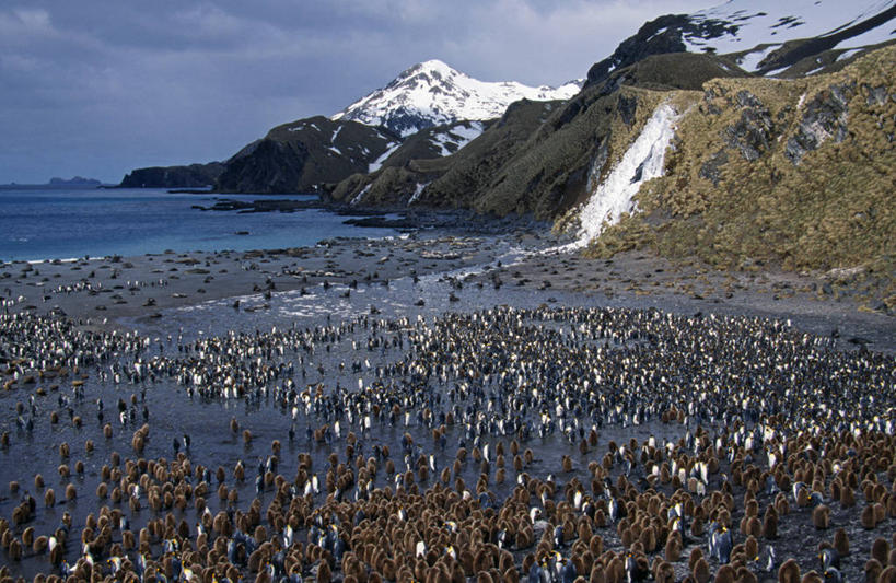 无人,横图,山,山脉,水,雪山,船,十字架,海湾,摄影,纪念,留念,怀念,探险家,南乔治亚岛,彩图