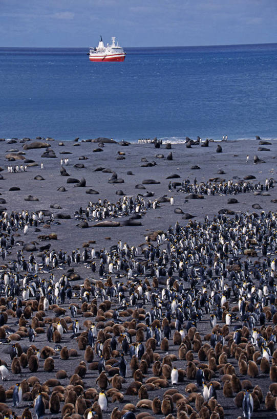 无人,横图,山,山脉,水,雪山,船,十字架,海湾,摄影,纪念,留念,怀念,探险家,南乔治亚岛,彩图