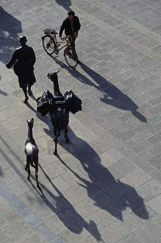 竖图,城市,路,自行车,昆明,亚洲,交通,车,脚踏车,骑,社区,交通工具,骑车,摄影,载具,忙碌,彩图,自行车道