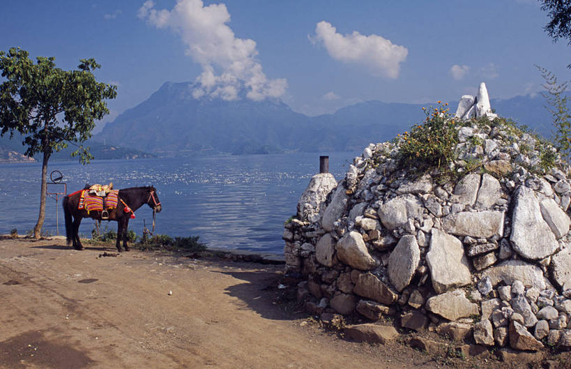 无人,横图,室外,湖,山,山脉,水,马,亚洲,海岸线,动物,绳子,运输,摄影,四川省,泸沽湖,云南省,彩图