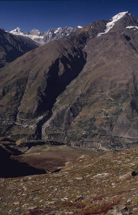 无人,寺庙,宫殿,竖图,室外,时尚,城市,建筑,印度,拱门,宏伟,穹顶,摄影,圆顶建筑,宗教建筑,金奈,迈索尔,彩图,迈索尔皇宫