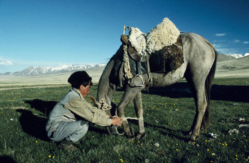 成年人,一个人,横图,室外,牧场,山,山脉,马,吉尔吉斯斯坦,亚洲,仅一个男性,骑马,草,骑,摄影,中亚,男人,彩图,山景城,游牧民族