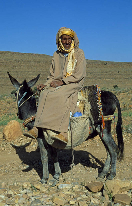 成年人,一个人,竖图,摩洛哥,仅一个男性,头巾,头饰,衣服,动物,发饰,社区,运输,摄影,骡子,北非,男人,彩图,旅行,柏柏尔人,传统文化